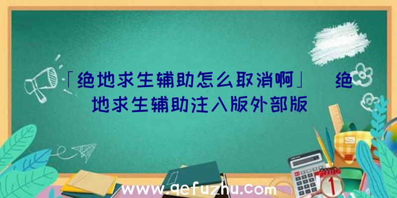 「绝地求生辅助怎么取消啊」|绝地求生辅助注入版外部版
